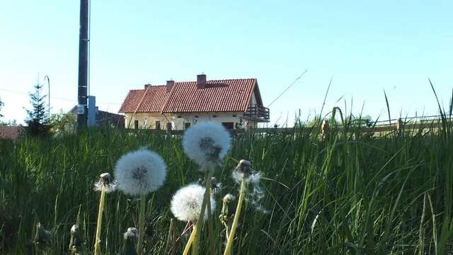 Комплексы для отдыха с коттеджами/бунгало Domki na Mazurach Kurka Wodna Миколайки-48